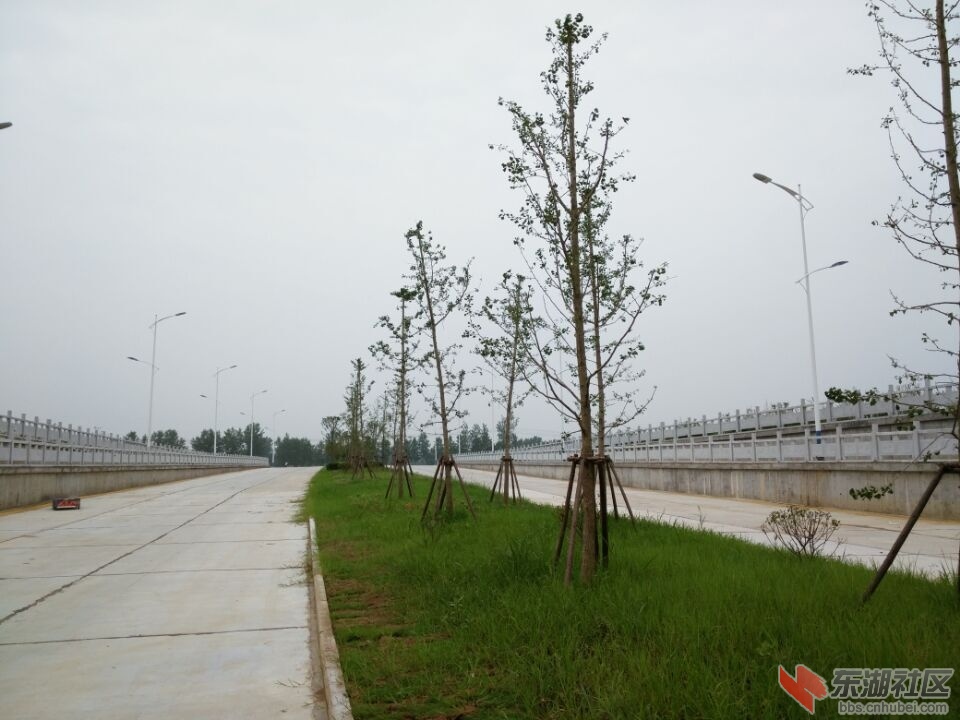 QQ图片20150710154010.jpg
