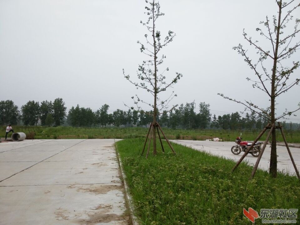 QQ图片20150710154021.jpg