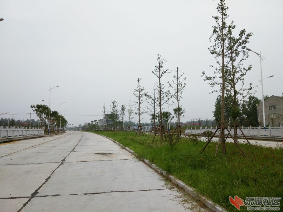 QQ图片20150710154044.jpg