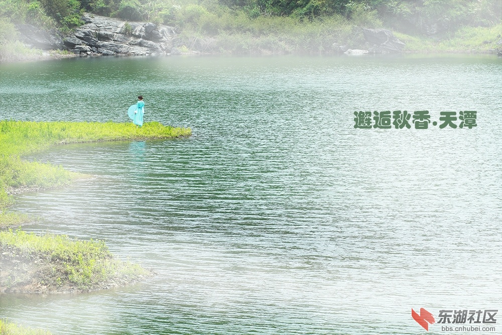 秋香2.jpg
