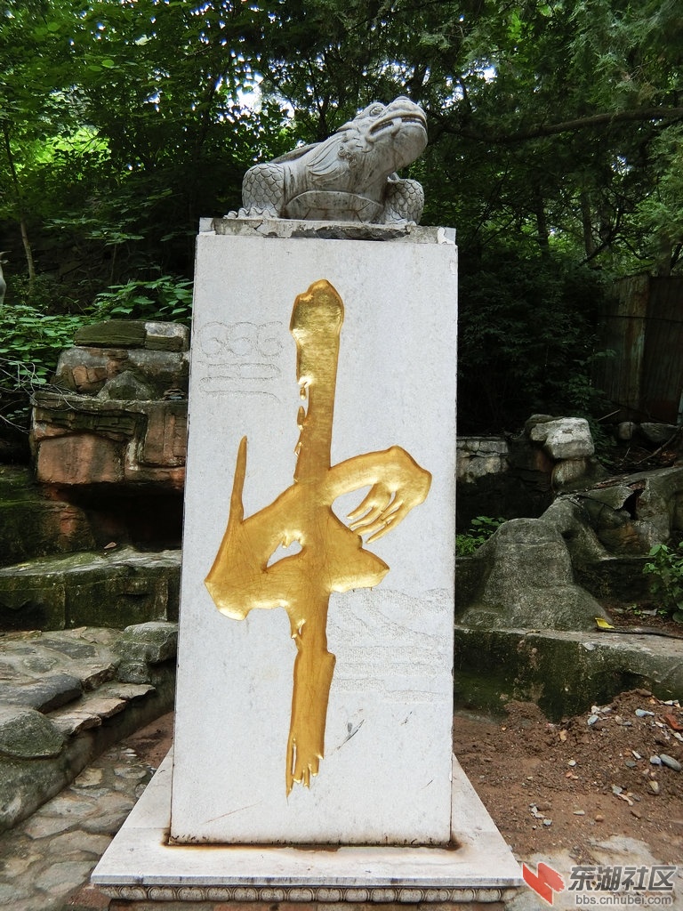 CIMG1264.JPG
