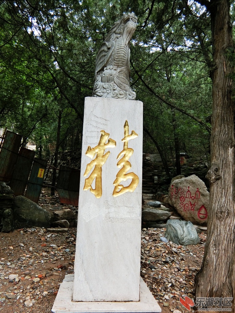 CIMG1266.JPG