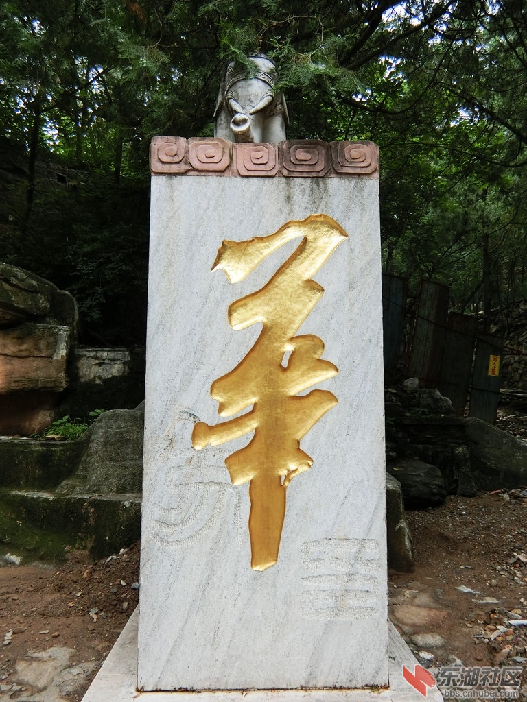 CIMG1265.JPG