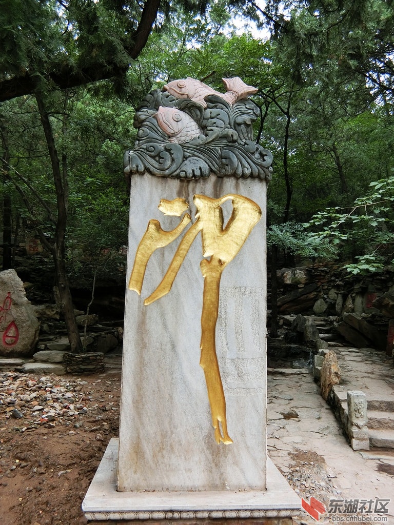 CIMG1267.JPG