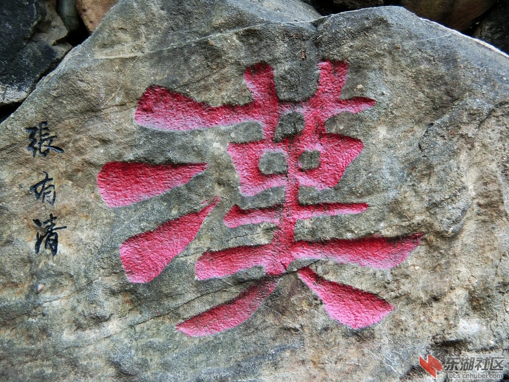 CIMG1269.JPG