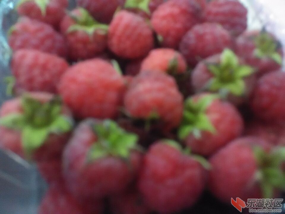 QQ图片20150723115338.jpg