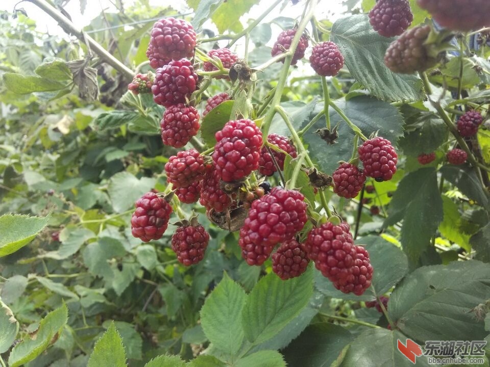 QQ图片20150723141121.jpg