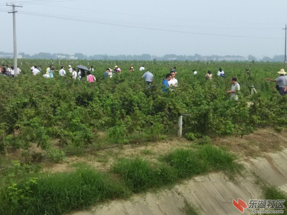 QQ图片20150723143527.jpg