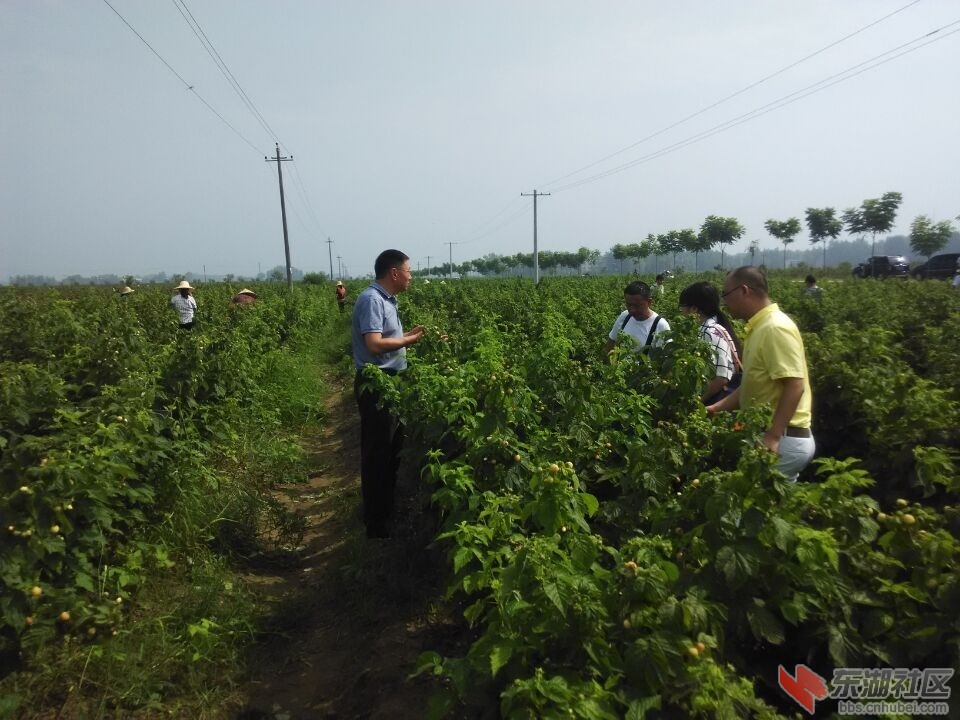 QQ图片20150723144352.jpg