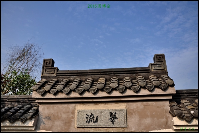 CSC_9305.JPG
