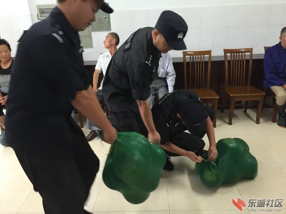 QQ图片20150727163900.jpg