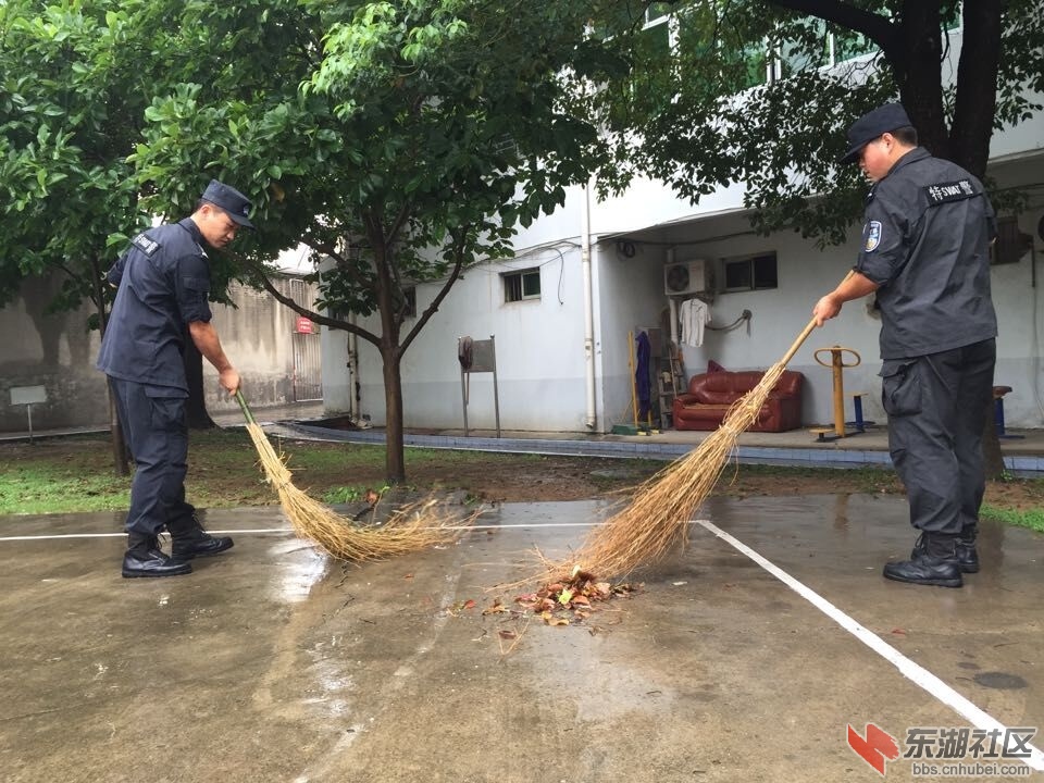 QQ图片20150727163856.jpg