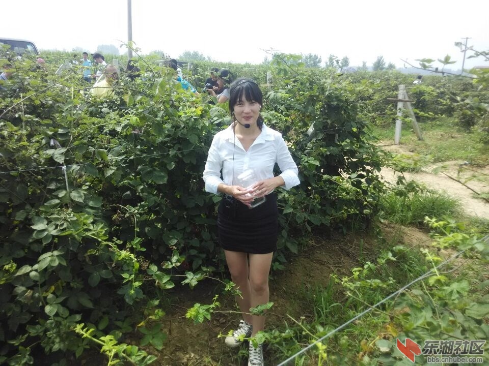 QQ图片20150727201720.jpg