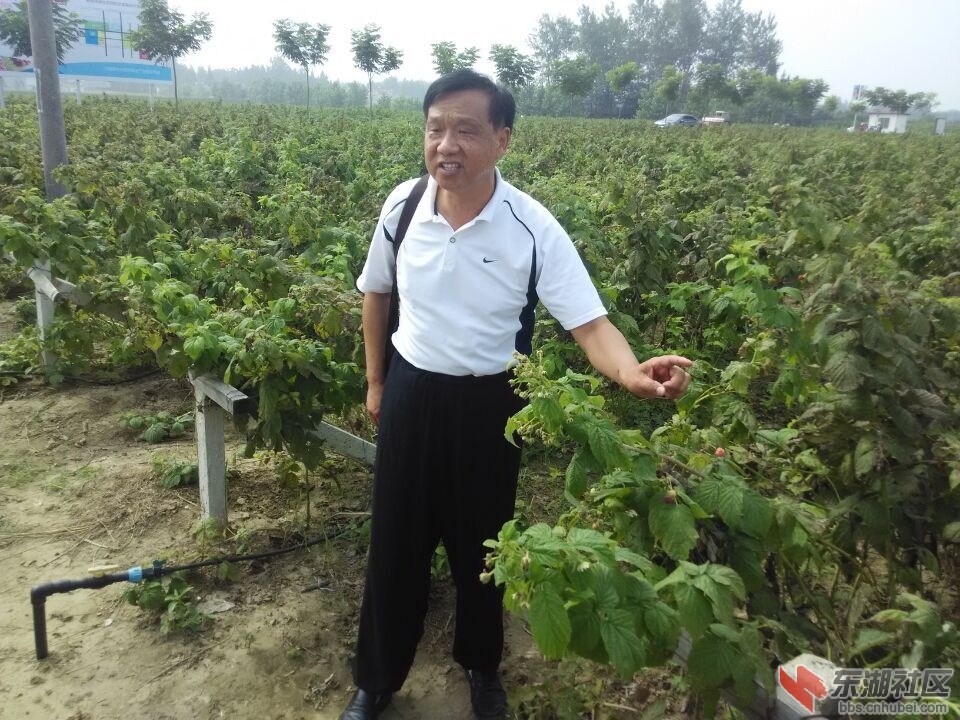 QQ图片20150727201738.jpg