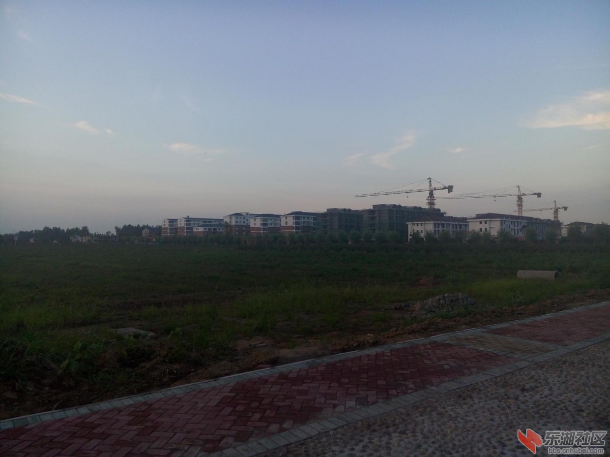 P50727-190154.jpg