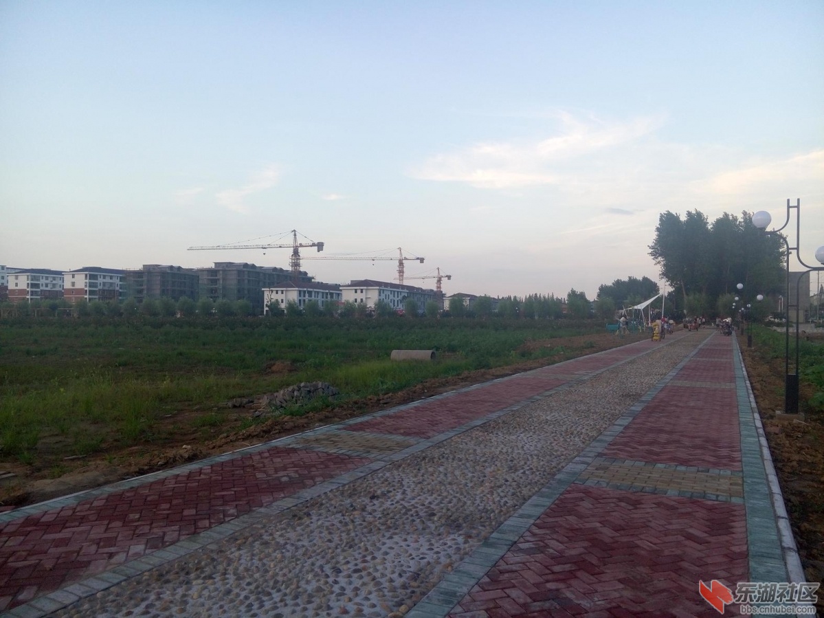 P50727-190137.jpg