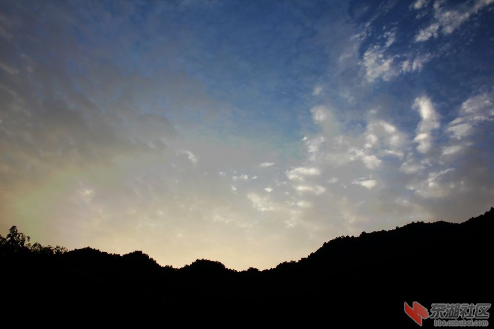 IMG_3763.JPG