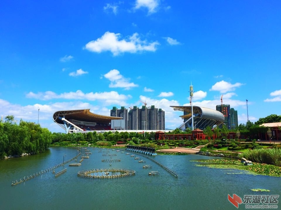 QQ图片20150801142931.jpg