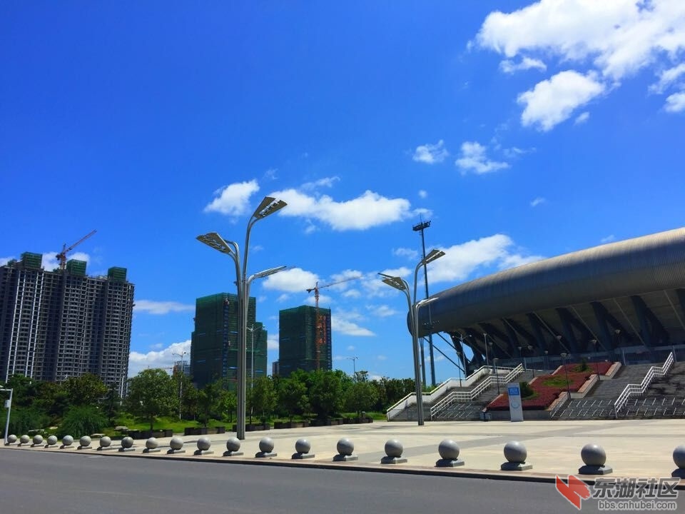 QQ图片20150801142902.jpg