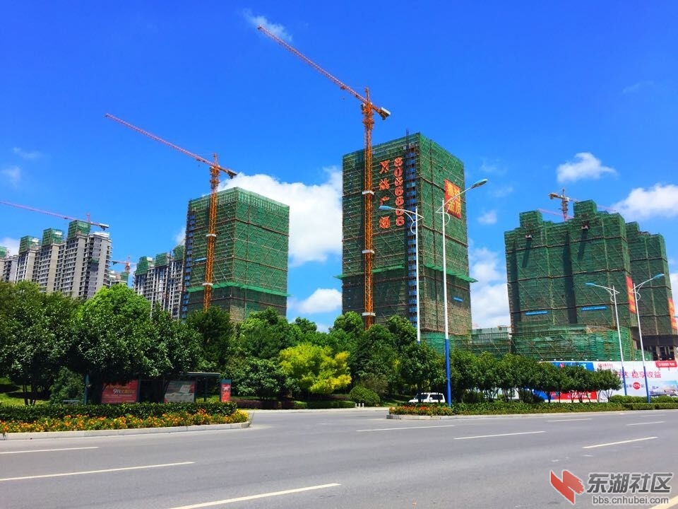 QQ图片20150801142859.jpg