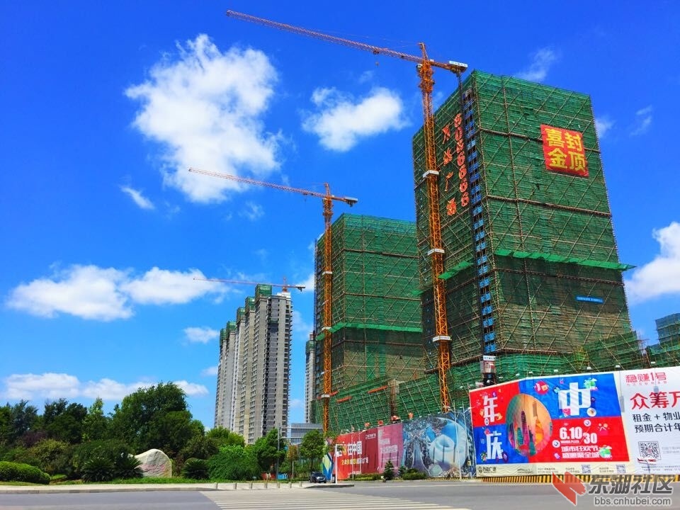 QQ图片20150801142942.jpg