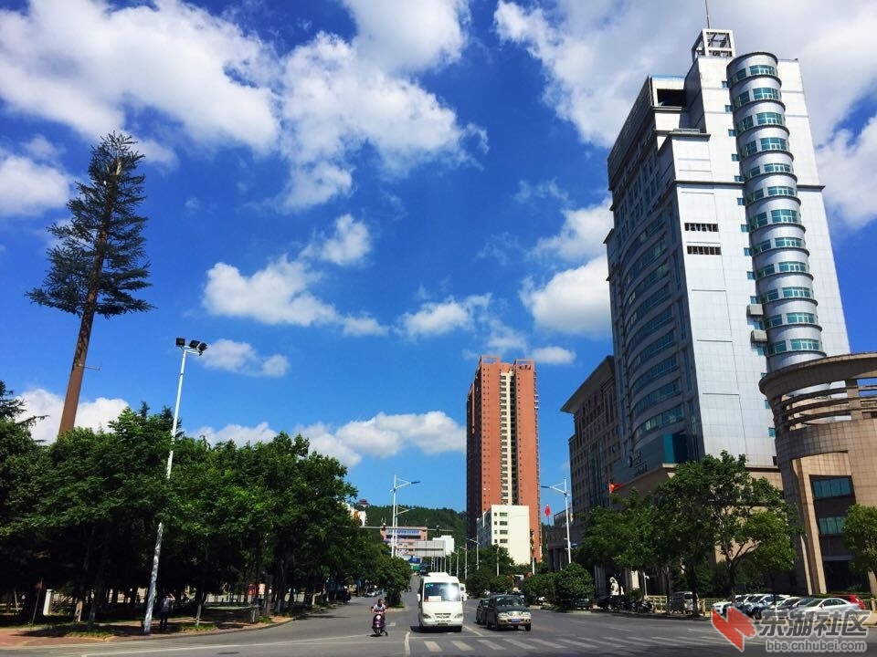 QQ图片20150801142945.jpg
