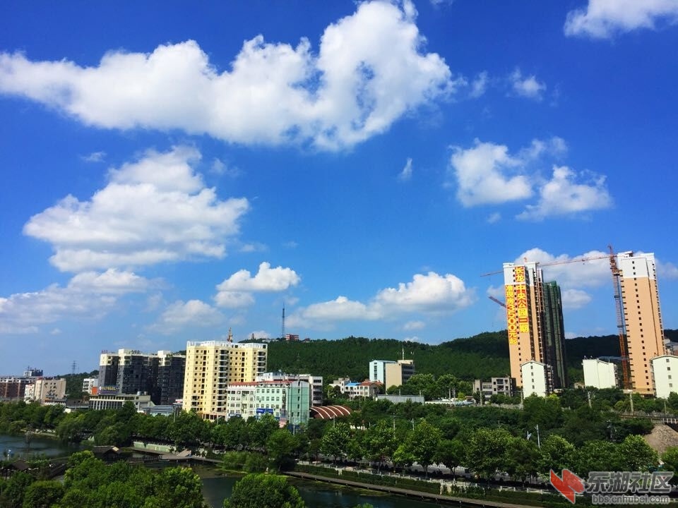 QQ图片20150801142947.jpg