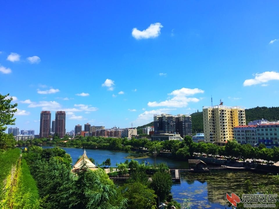 QQ图片20150801142651.jpg