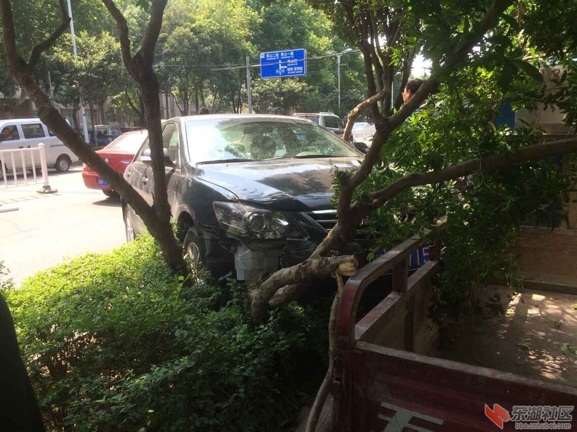 QQ图片20150801152427.jpg