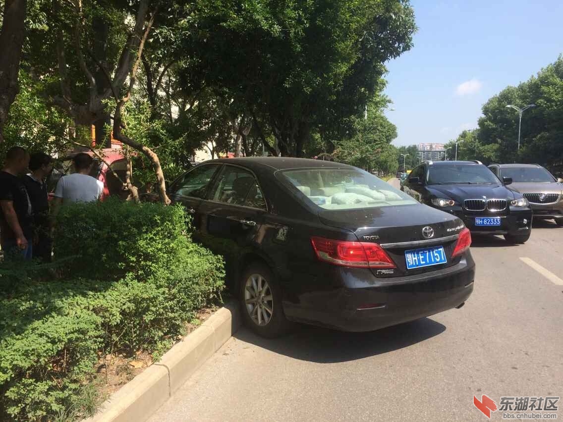 QQ图片20150801152422.jpg
