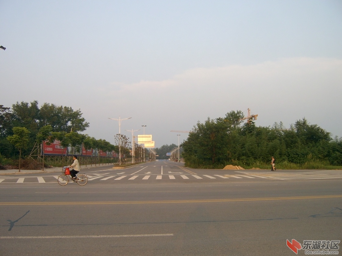 育才小学门前景观路.JPG