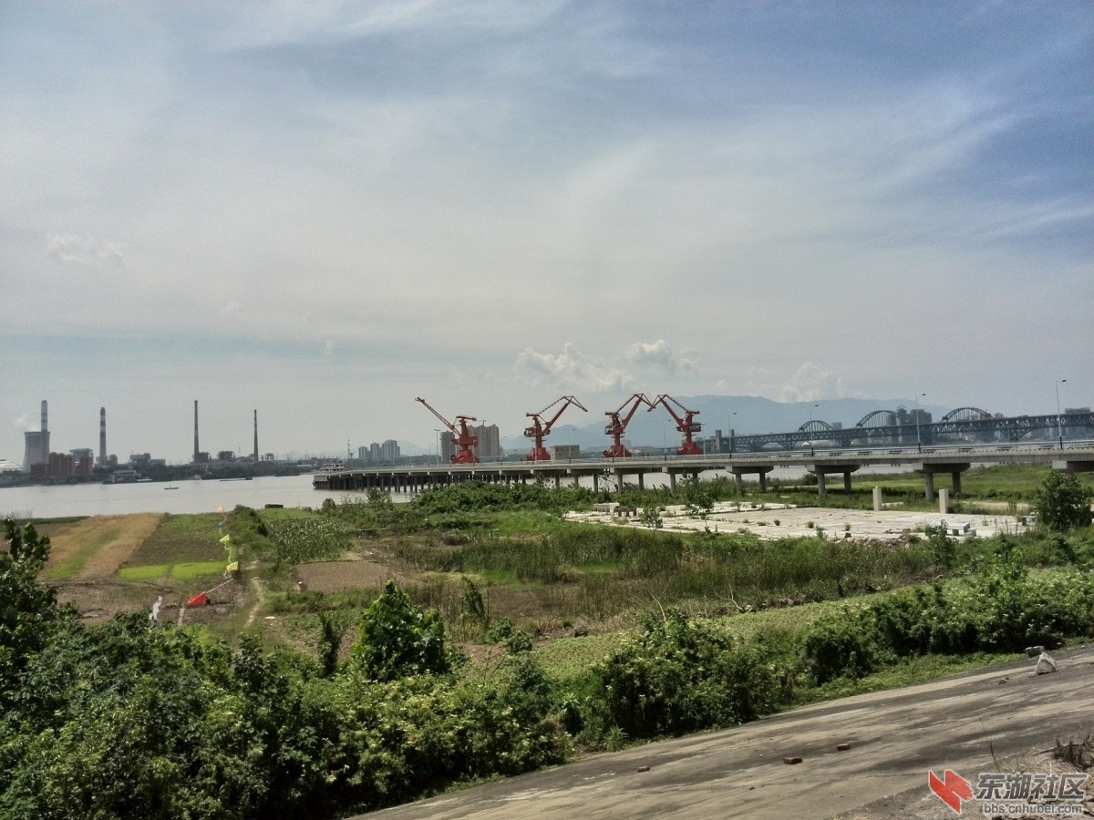 IMG_20150801_111812.jpg
