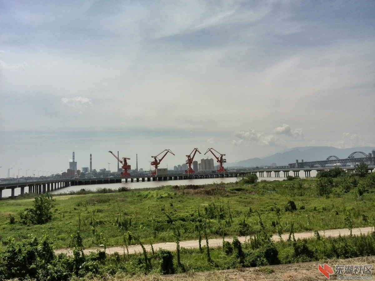 IMG_20150801_111906.jpg