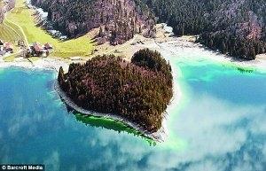 常青之爱。德国慕尼黑南部有个爱情岛，上面全是常青的树木。.jpg