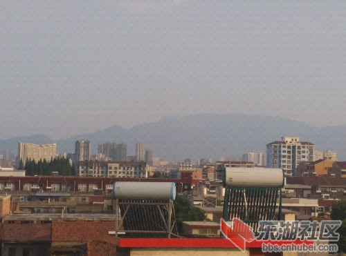 IMG_20150804_180459.jpg