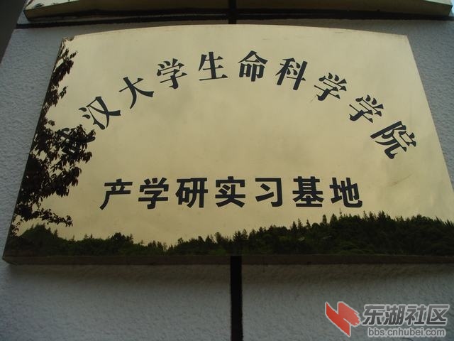 DSC05807.JPG