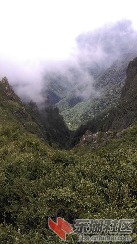 IMAG0757.jpg