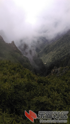 IMAG0748.jpg
