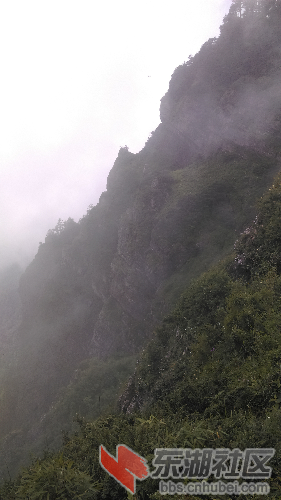 IMAG0746.jpg