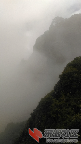 IMAG0745.jpg
