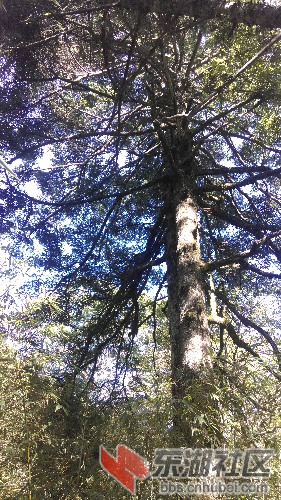 IMAG0739.jpg
