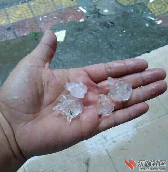 QQ图片20150805210604.jpg