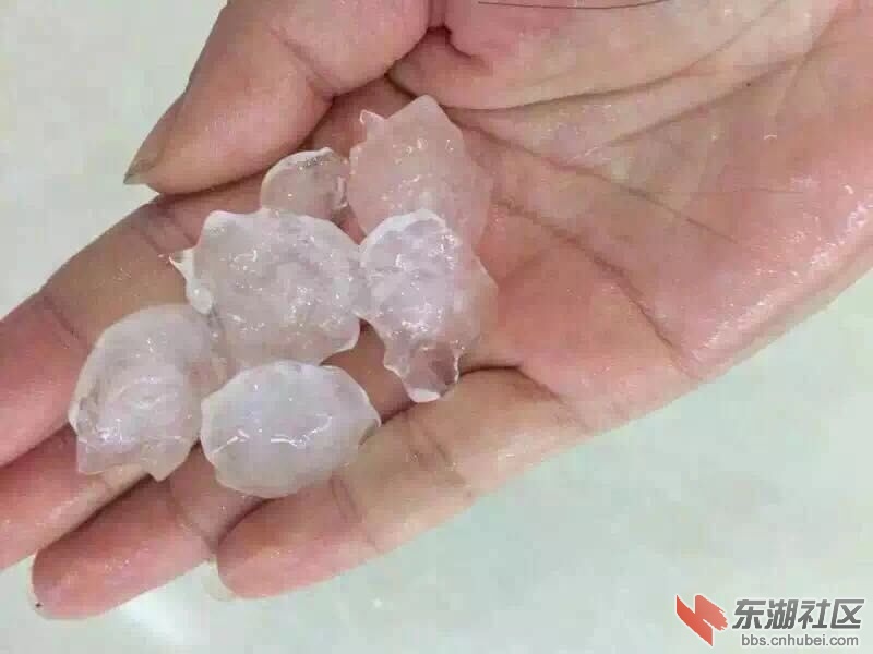 QQ图片20150805210537.jpg