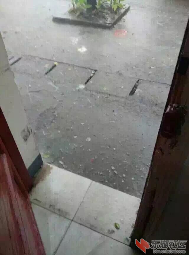 QQ图片20150805210549.jpg