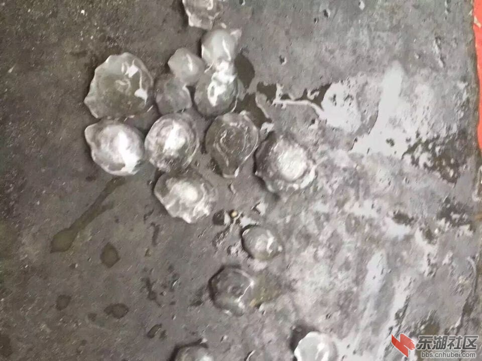 QQ图片20150805210618.jpg