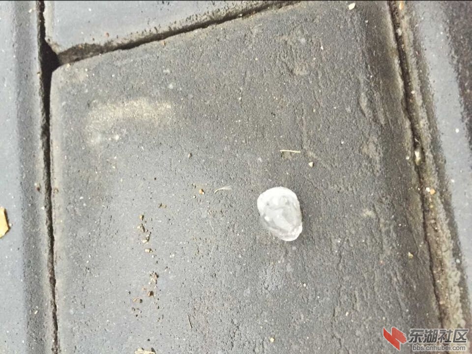 QQ图片20150805210544.jpg