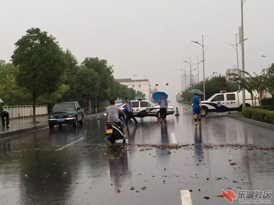 QQ图片20150805210630.jpg
