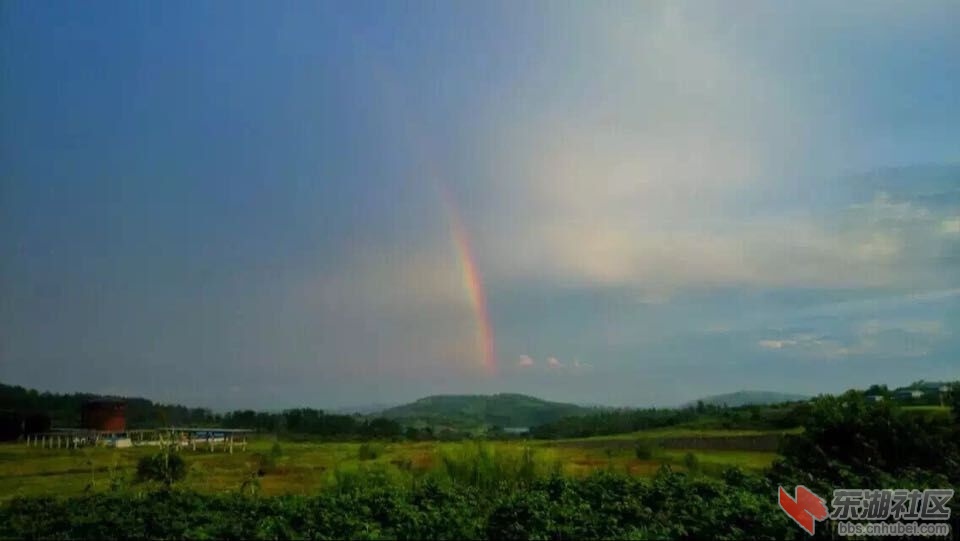 QQ图片20150805212019.jpg