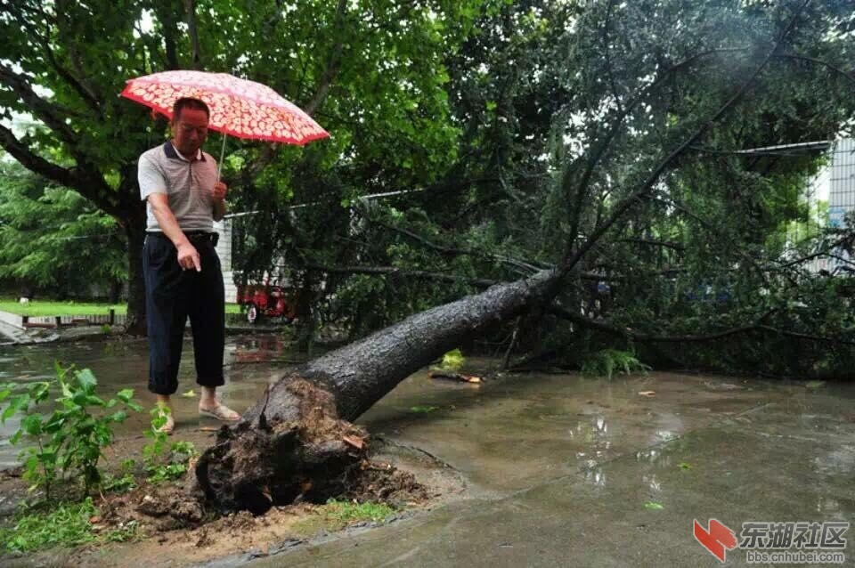 QQ图片20150805213450.jpg