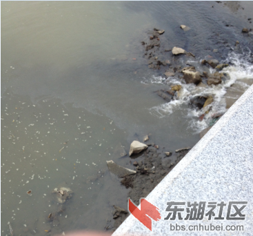 QQ图片20150806091737.png